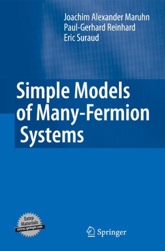 Simple Models Of Manyfermion Systems 1st Edition Joachim Alexander Maruhn