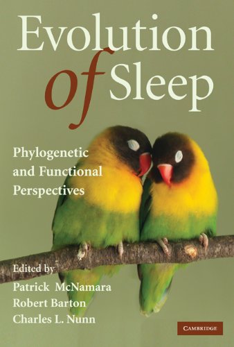 Evolution Of Sleep Phylogenetic And Functional Perspectives Patrick Mcnamara