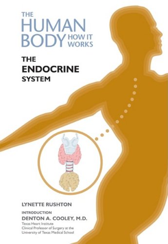 The Endocrine System Lynette Rushton Denton A Md Cooley