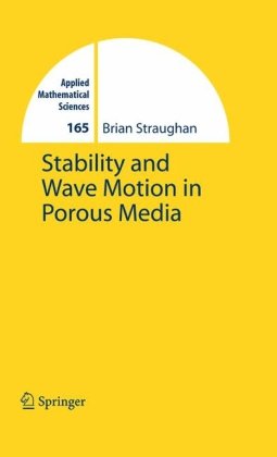 Stability And Wave Motion In Porous Media 1st Edition Brian Straughan Auth