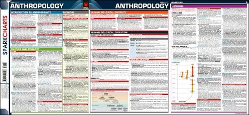 Anthropology Sparkcharts Barcharts