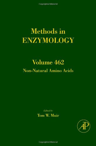 Rna Interference 1st Edition David R Engelke And John J Ros
