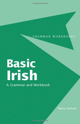 Basic Irish A Grammar And Workbook Grammar Workbooks Bilingual Nancy Stenson