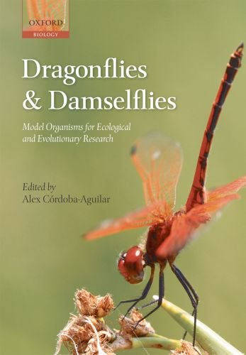 Dragonflies And Damselflies Model Organisms For Ecological And Evolutionary Research Alex Crdobaaguilar