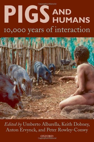Pigs And Humans 10000 Years Of Interaction Umberto Albarella