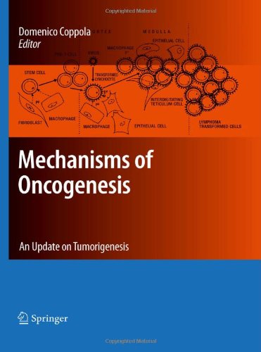 Mechanisms Of Oncogenesis An Update On Tumorigenesis 1st Edition Alexander W Kusnecov
