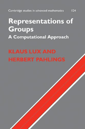Representations Of Groups A Computational Approach Klaus Lux