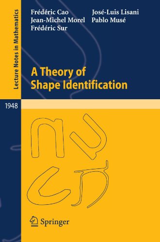 A Theory Of Shape Identification 1st Edition Frédéric Cao Joséluis Lisani