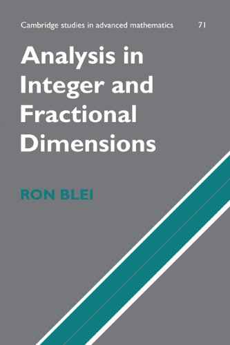 Analysis In Integer And Fractional Dimensions 1st Edition Ron Blei