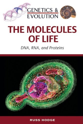 The Molecules Of Life Kindle Russ Hodge