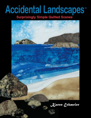 Accidental Landscapes 1st Karen Eckmeier