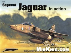 Sepecat Jaguar In Action Glenn Ashley