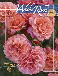 Weeks Roses 2010 Weeks