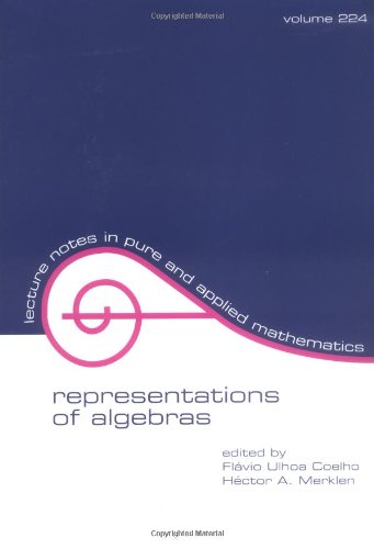 Representations Of Algebras 224 Hector A Merklen Flavio Ulhoa Coelho