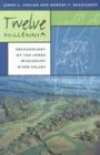 Twelve Millennia Archaeology Of The Upper Mississippi River Valley James L Robert F Theler Boszhardt