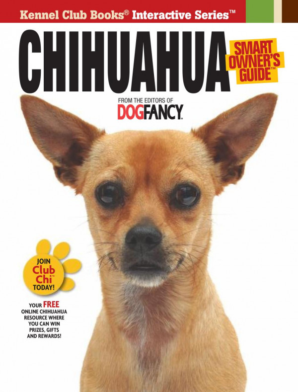 Chihuahua Dog Fancy Magazine
