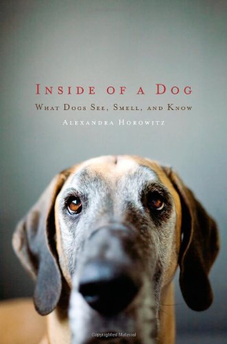 Inside Of A Dog What Dogs See Smell And Know Alexandra Horowitz