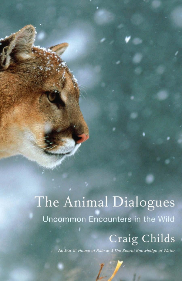 The Animal Dialogues Uncommon Encounters In The Wild Craig Childs