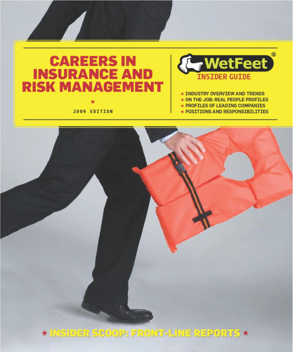 Careers In Insurance And Risk Management
