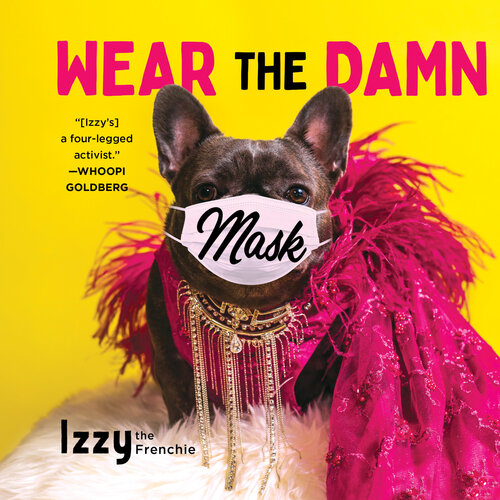 Wear The Damn Mask Izzy The Frenchie