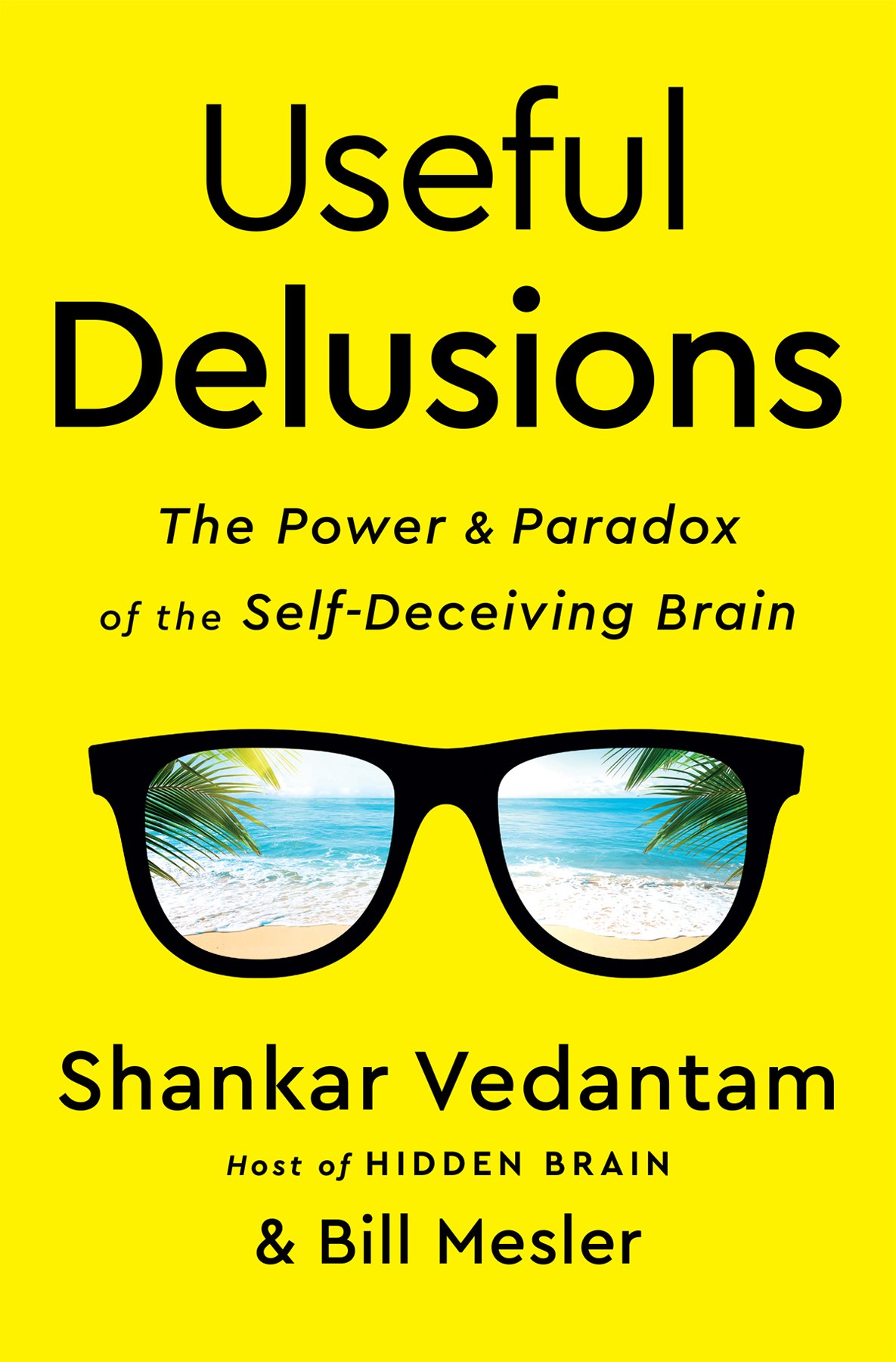 Useful Delusions Shankar Vedantam