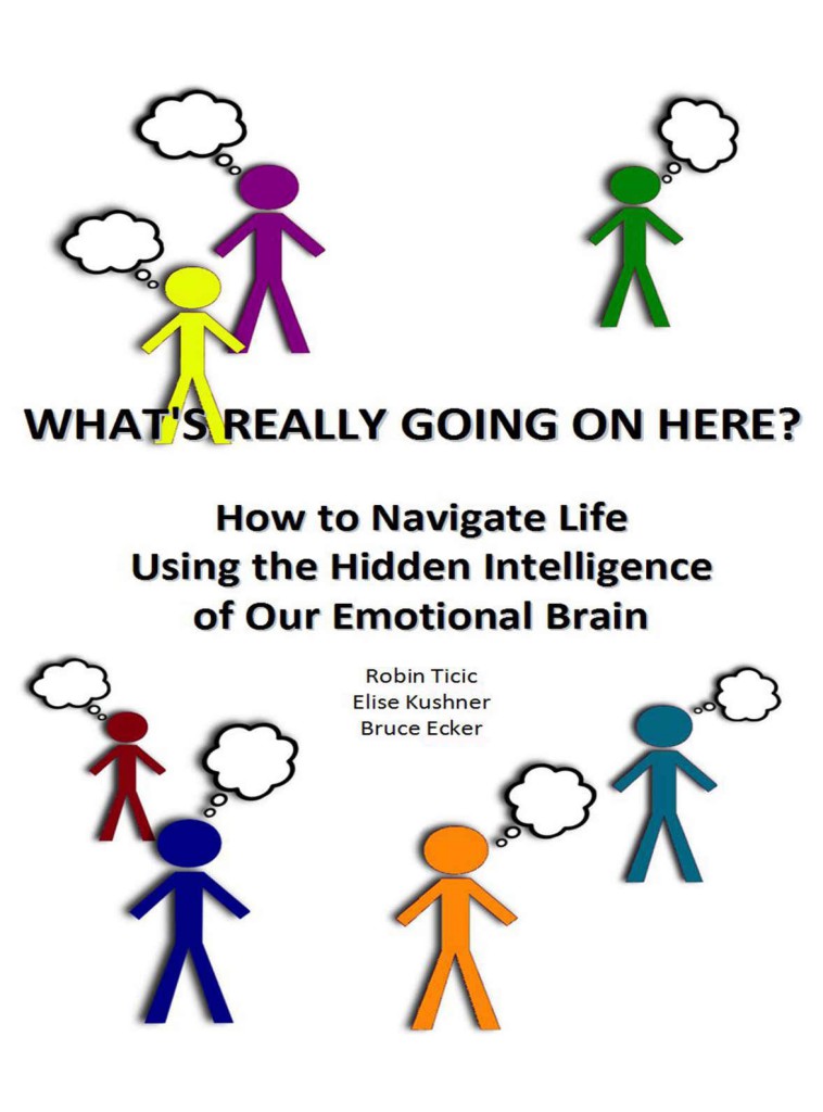 Whats Really Going On Here How To Navigate Life Using The Hidden Intelligence Of Our Emotional Brain Robin Ticic Elise Kushner Bruce Ecker