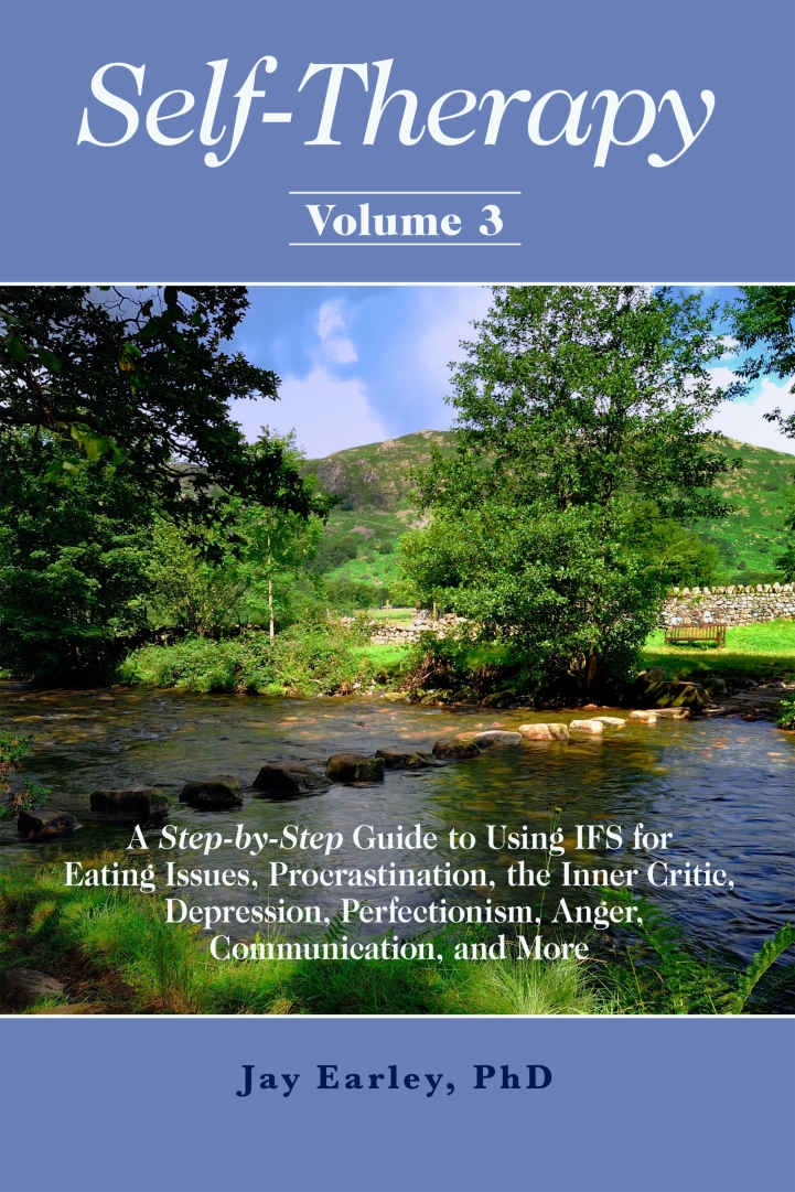 Selftherapy Vol 3 A Stepbystep Guide To Using Ifs For Eating Issues Procrastination The Inner Critic Depression Perfectionism Anger Communication And More Jay Earley