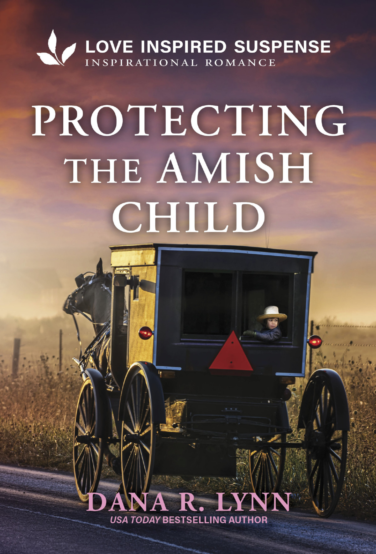 Protecting The Amish Child Dana R Lynn