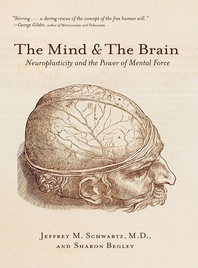 The Mind And The Brain Neuroplasticity And The Power Of Mental Force Jeffrey M Schwartz Md