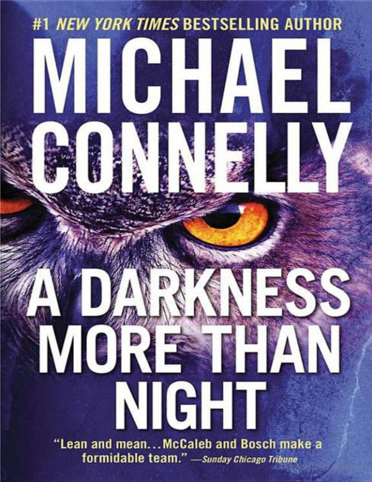 A Darkness More Than Night A Novel Michael Connelly