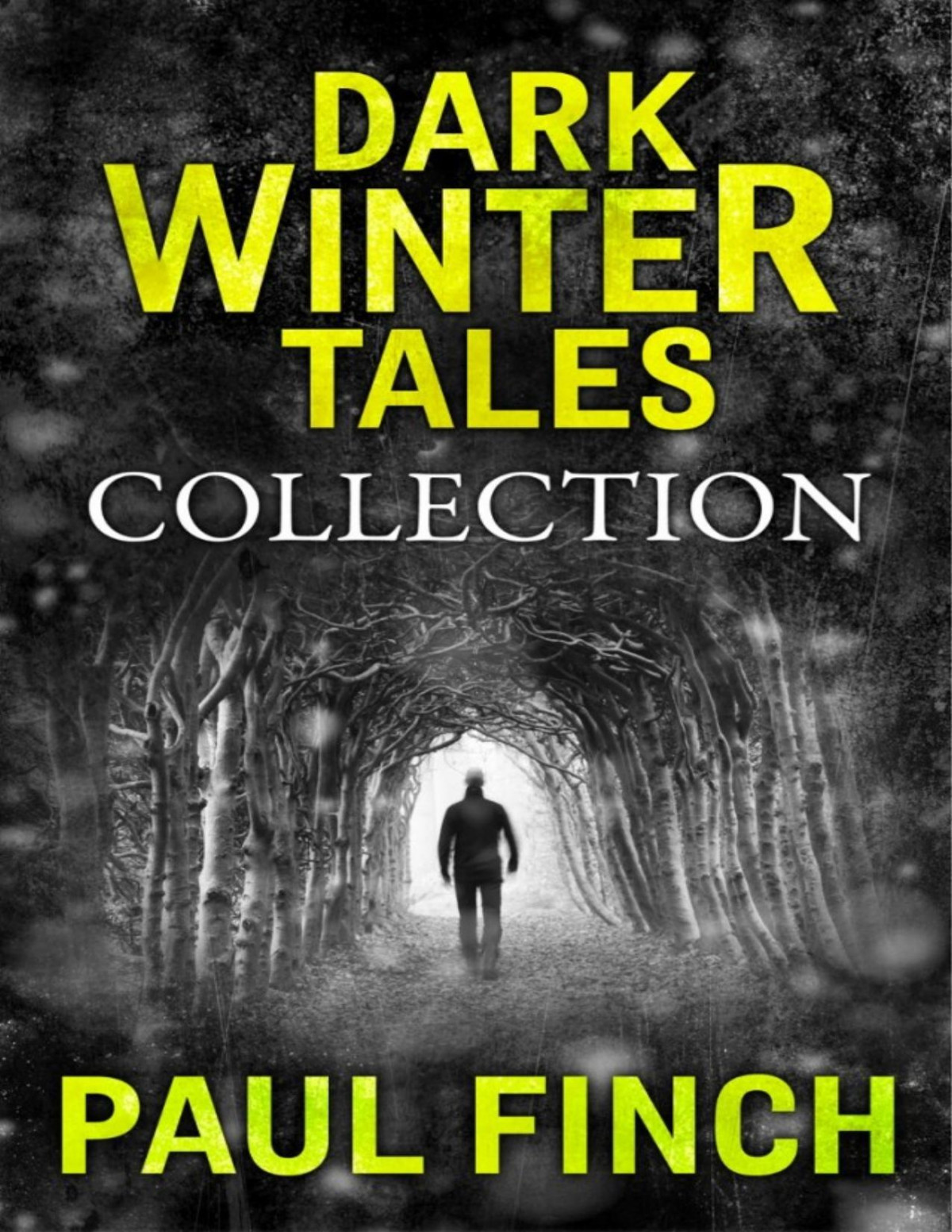 Dark Winter Tales A Collection Of Horror Short Stories Books 17 Paul Finch