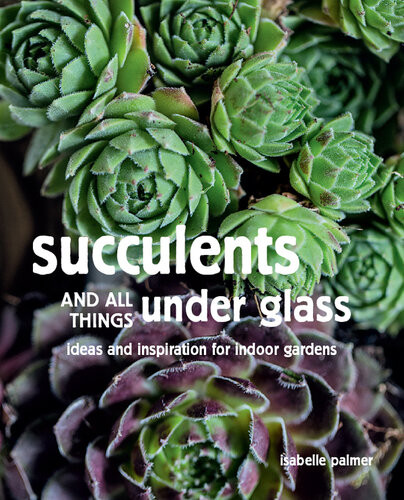 Succulents And All Things Under Glass Palmer Isabelle