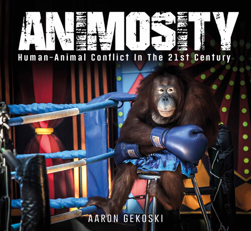 Animosity Humananimal Conflict In The 21st Century Aaron Gekoski