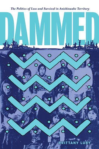 Dammed The Politics Of Loss And Survival In Anishinaabe Territory Brittany Luby