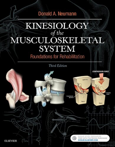 Kinesiology Of The Musculoskeletal System 3e 3rd Edition Donald A Neumann