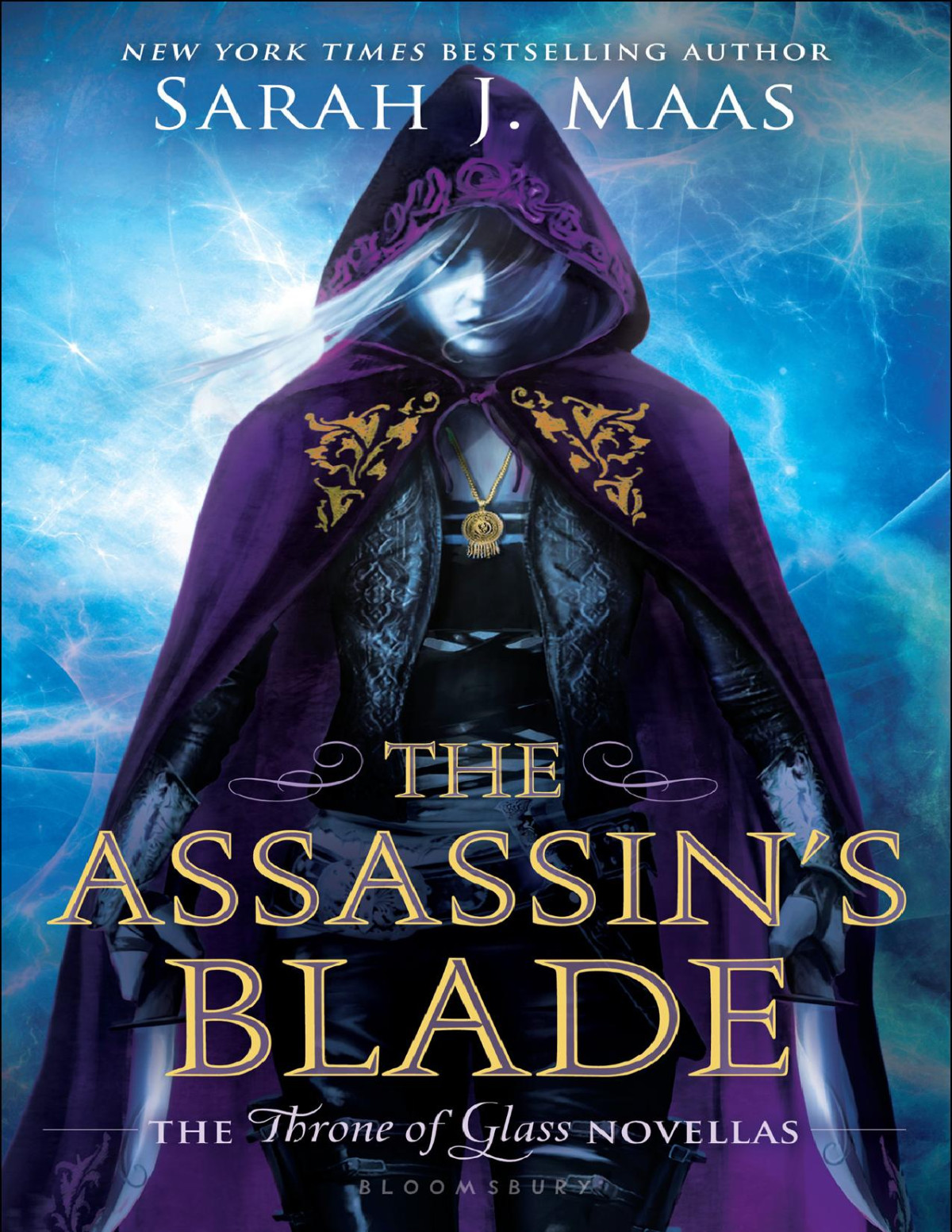 The Assassins Blade Sarah J Maas