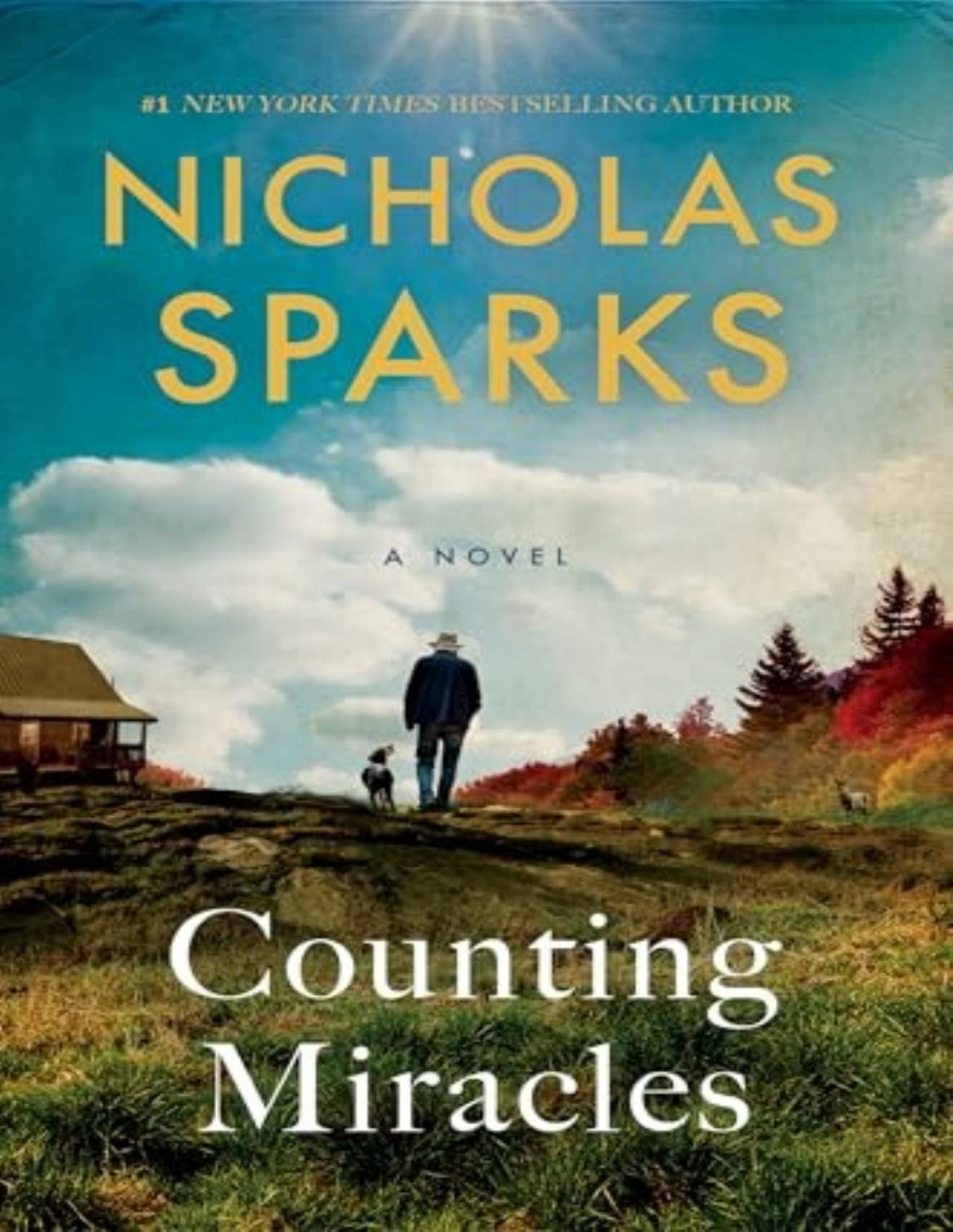 Counting Miracles A Novel Nicholas Sparks