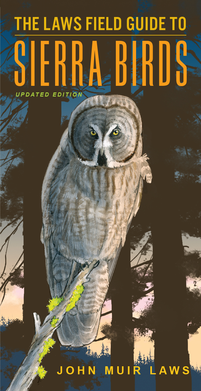 The Laws Field Guide To Sierra Birds John Muir Laws