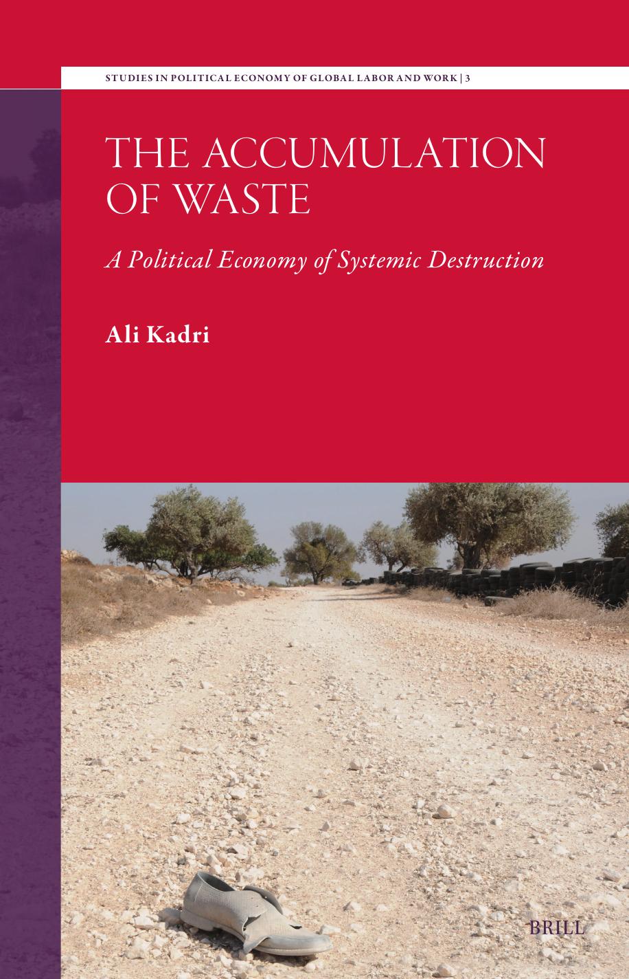 The Accumulation Of Waste A Political Economy Of Systemic Destruction 1st Edition Ali Kadri