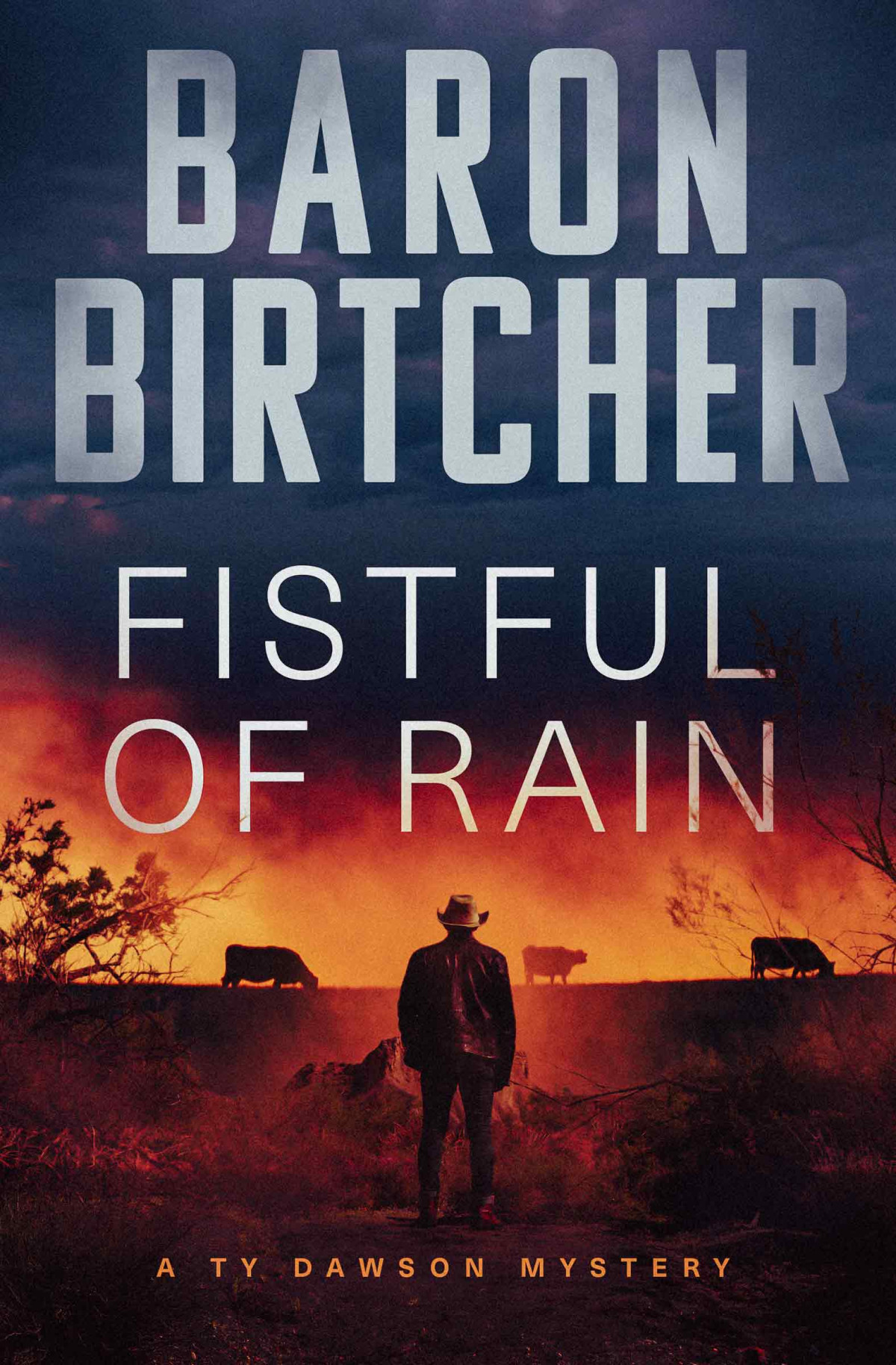 Fistful Of Rain Baron Birtcher