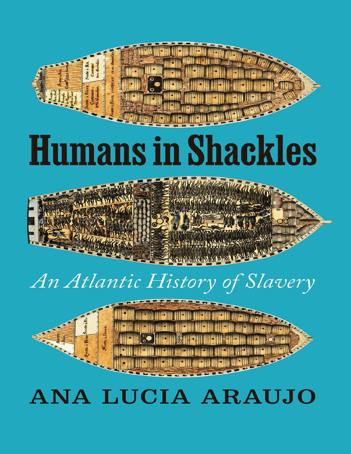 Humans In Shackles An Atlantic History Of Slavery Ana Lucia Araujo