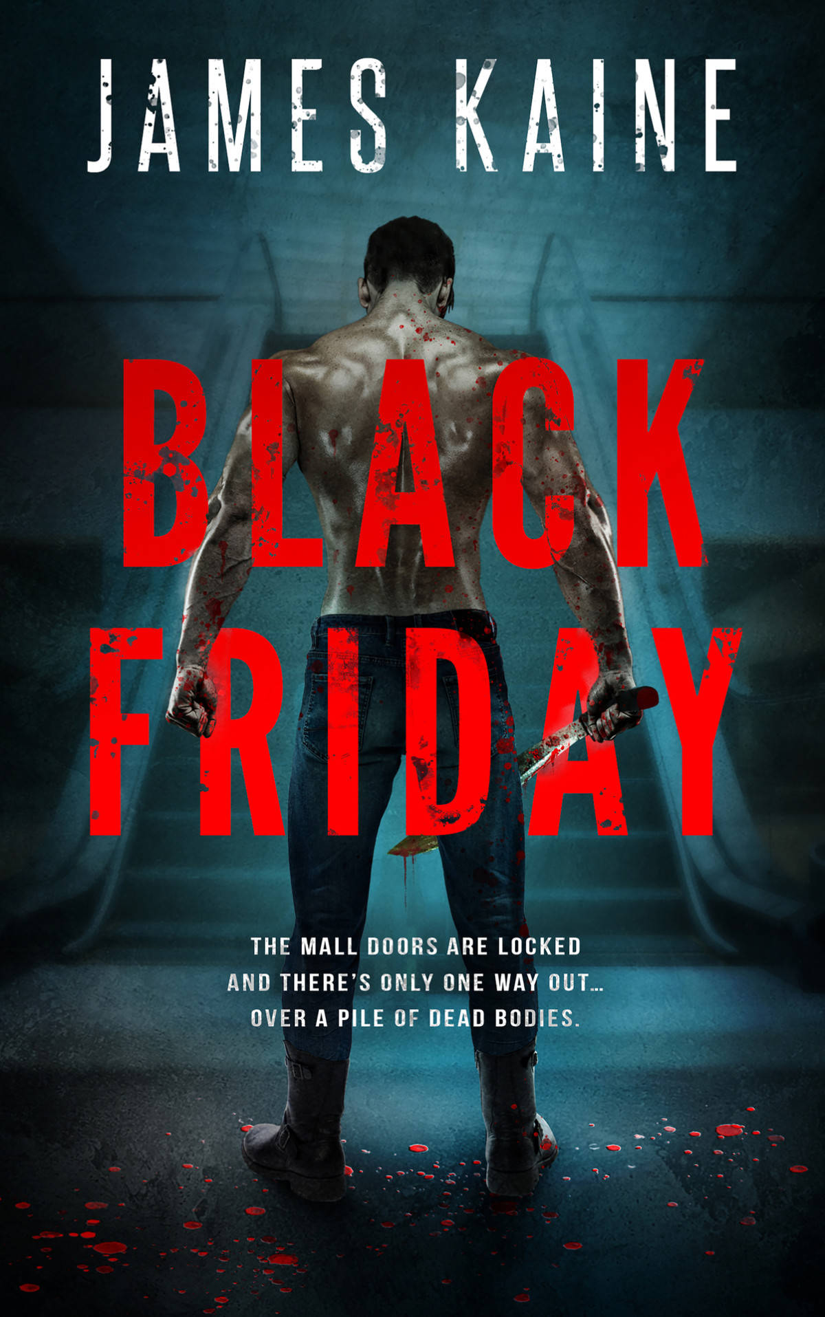 Black Friday James Kaine