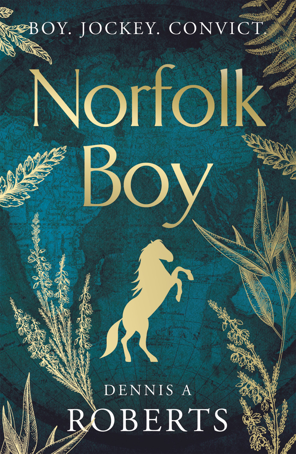 Norfolk Boy 1st Edition Dennis A Roberts