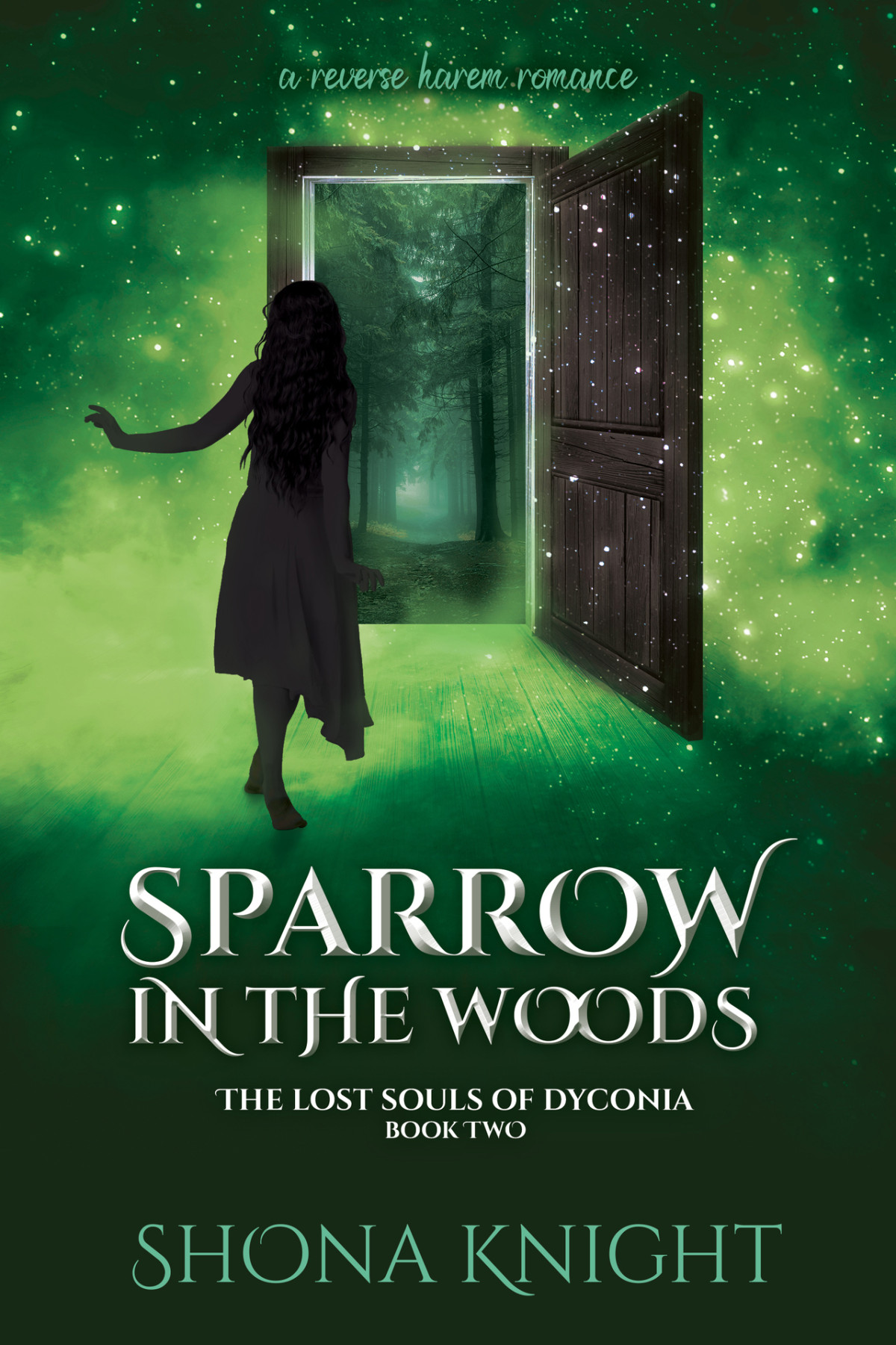 Sparrow In The Woods The Lost Souls Of Dyconia Book 2 Knight
