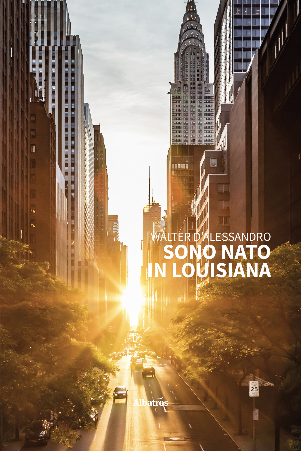 Sono Nato In Louisiana Walter Daposalessandro