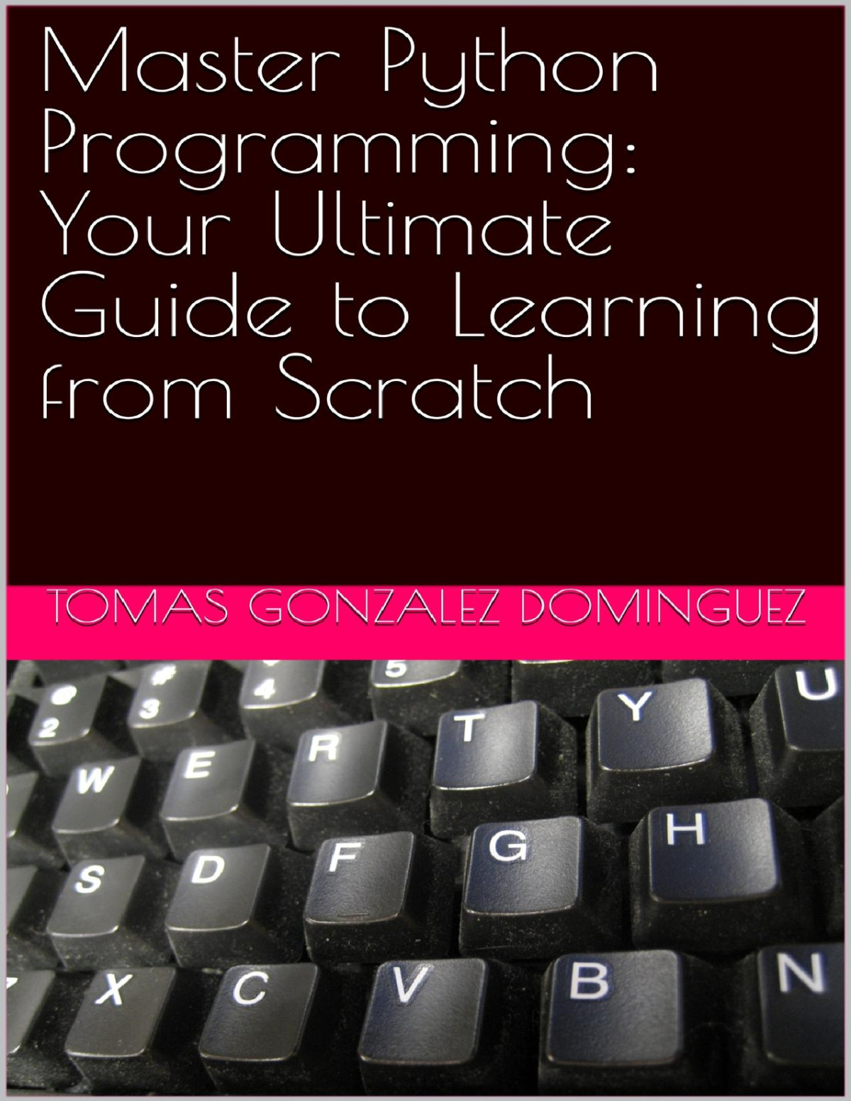 Master Python Programming Your Ultimate Guide To Learning From Scratch Gonzalez Dominguez