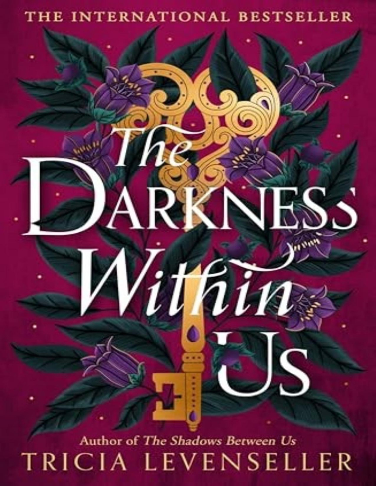 The Darkness Within Us Tricia Levenseller