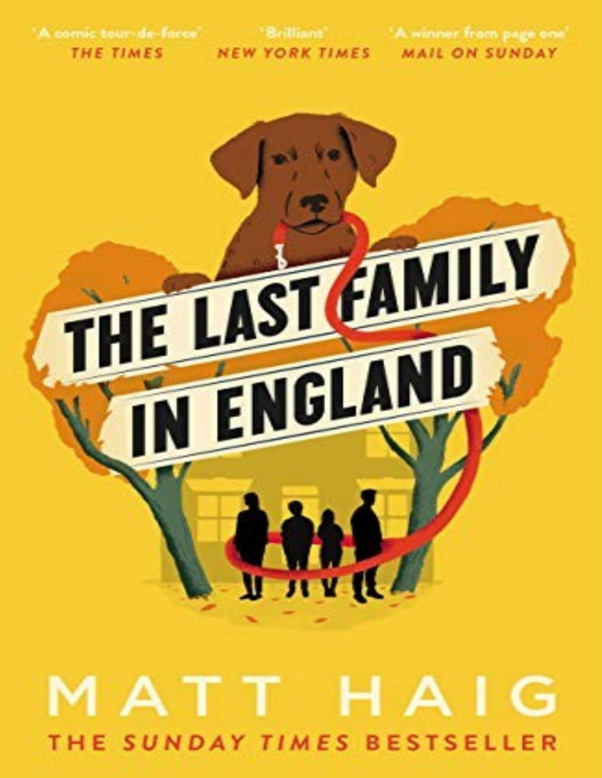 The Last Family In England Matt Haig
