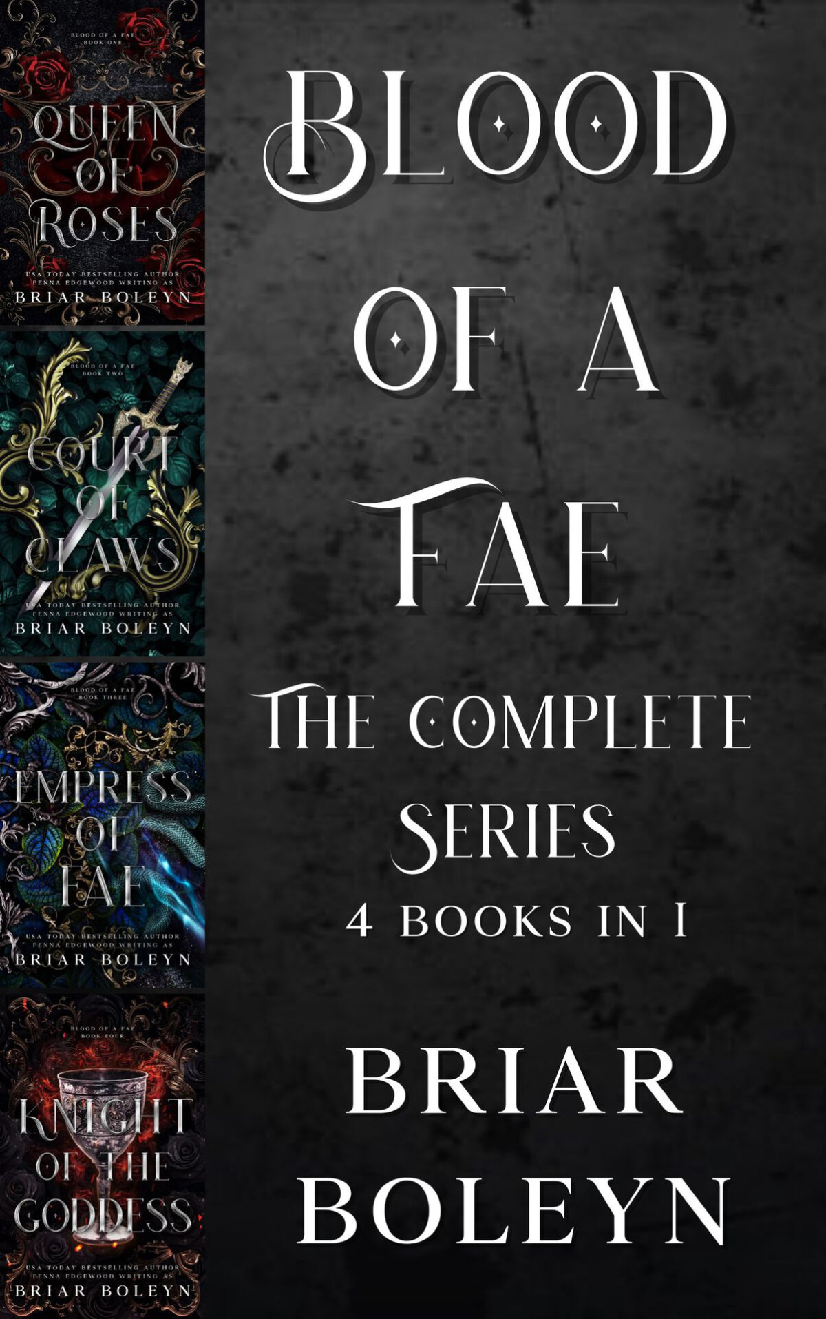 Blood Of A Fae Ebook Bundle Books 14 Complete Box Set Collection Briar Boleyn