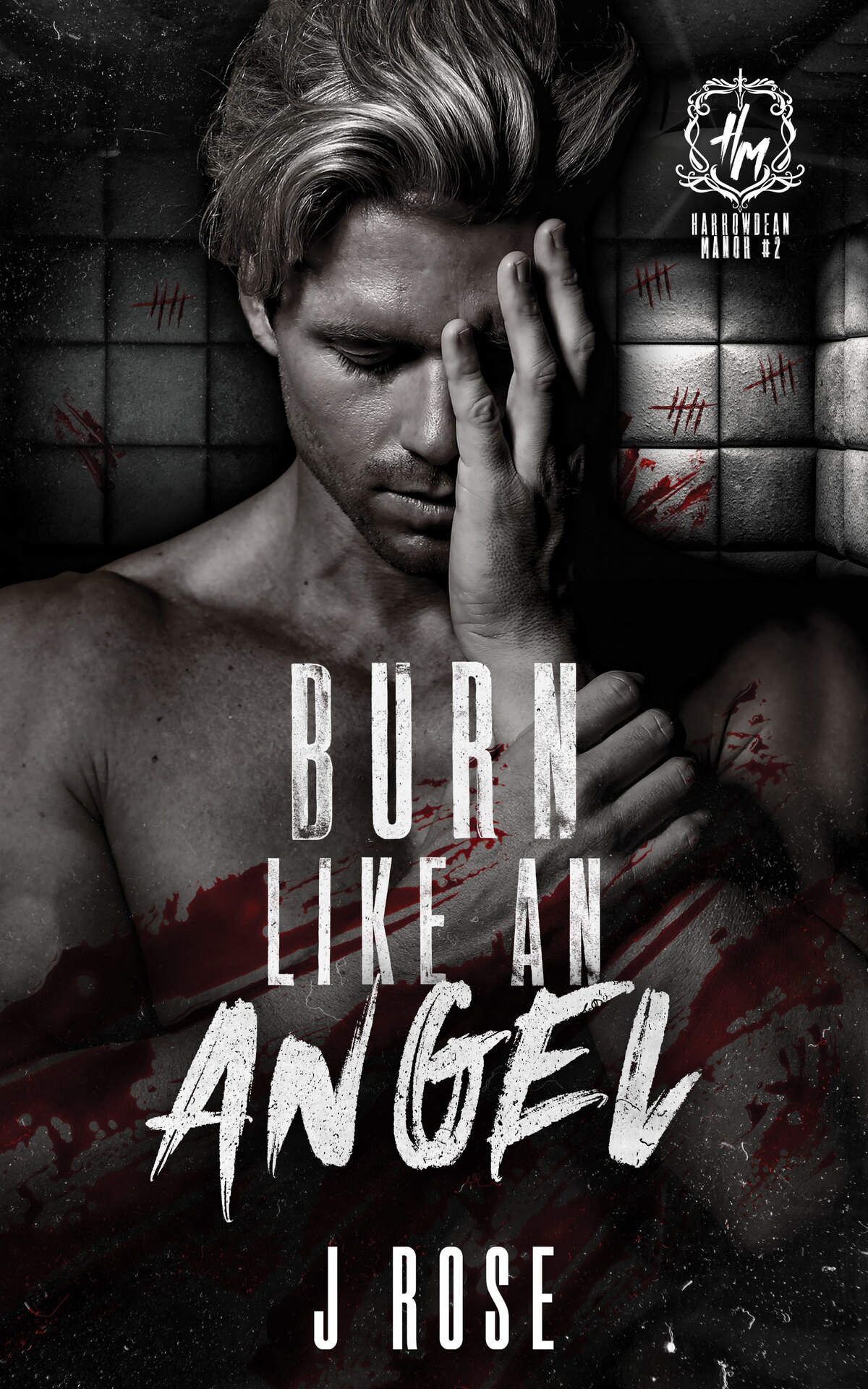 Burn Like An Angel A Dark Reverse Harem Romance Harrowdean Manor Book 2 J Rose